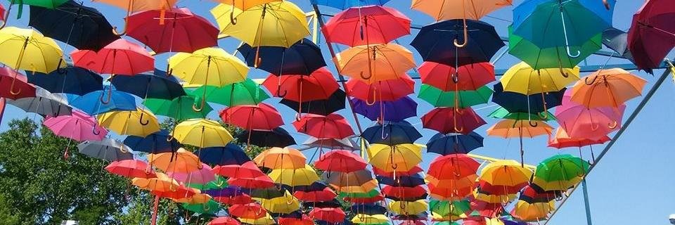 beatanagy26's profile banner image