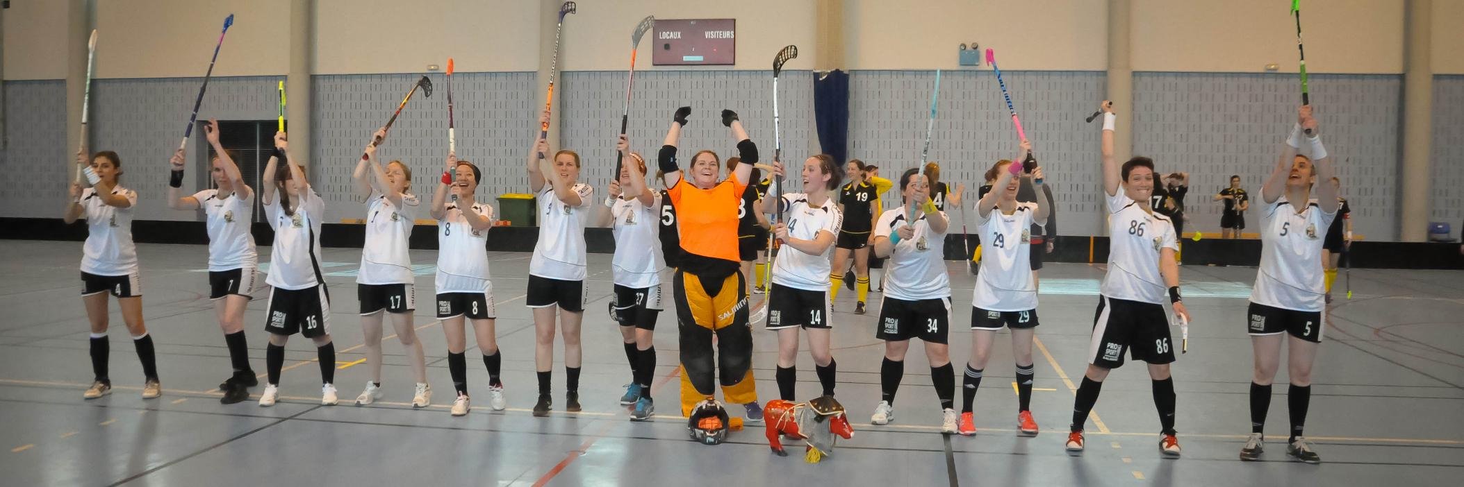 Les Valkyries  banner