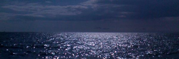 AlexLeDrollec Profile Banner