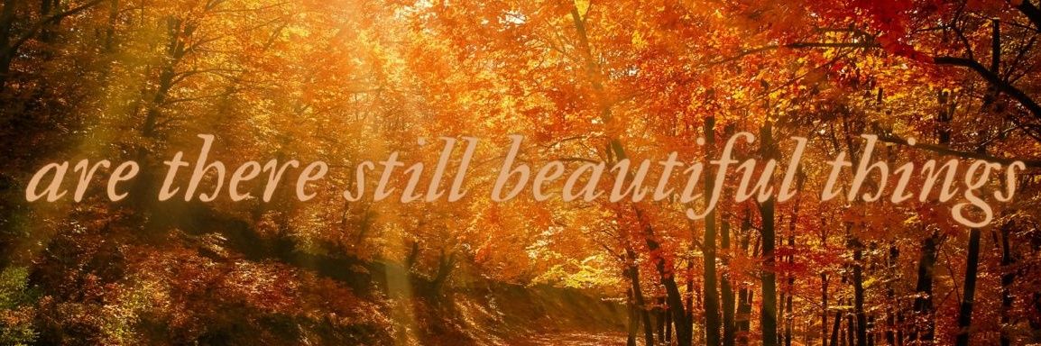 maddie 🌈 Eras Gillette 5/20 ☔ banner