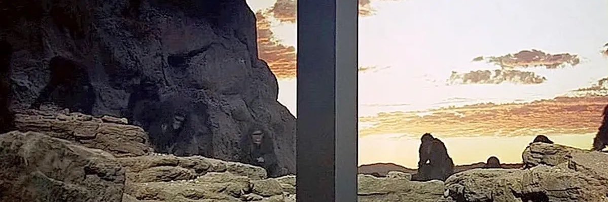 sheastockton's profile banner image