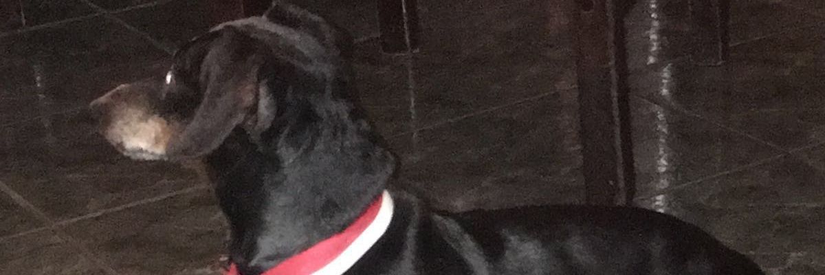 bigjerries's profile banner image