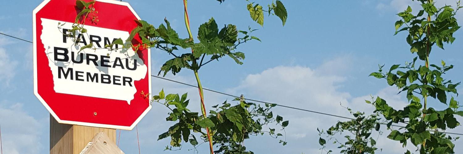 HopeAveHops's profile banner image