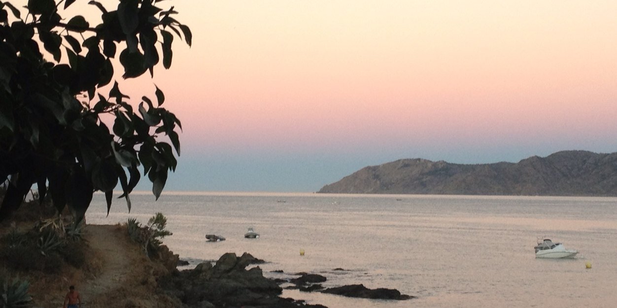 davidmoriscot's profile banner image