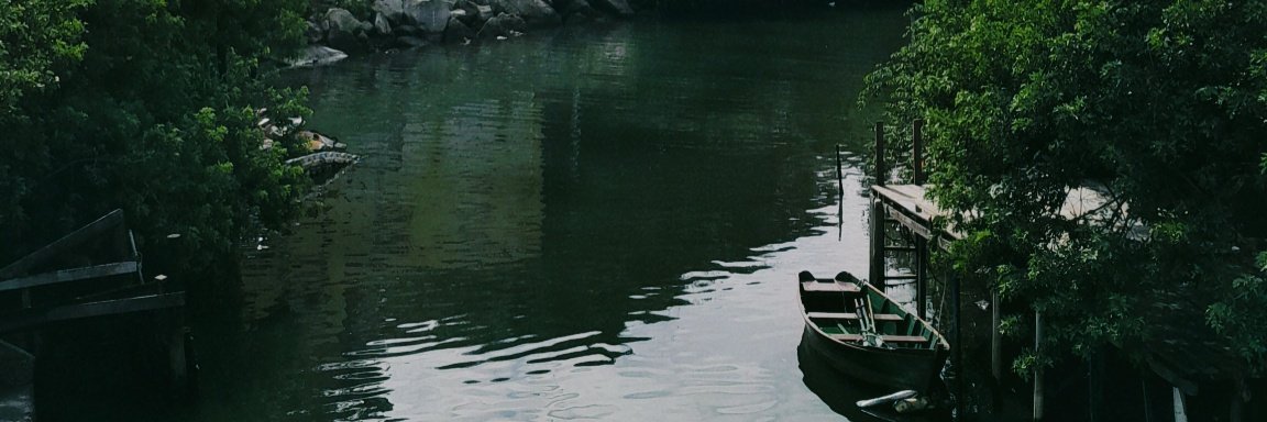 vidalxiomi's profile banner image