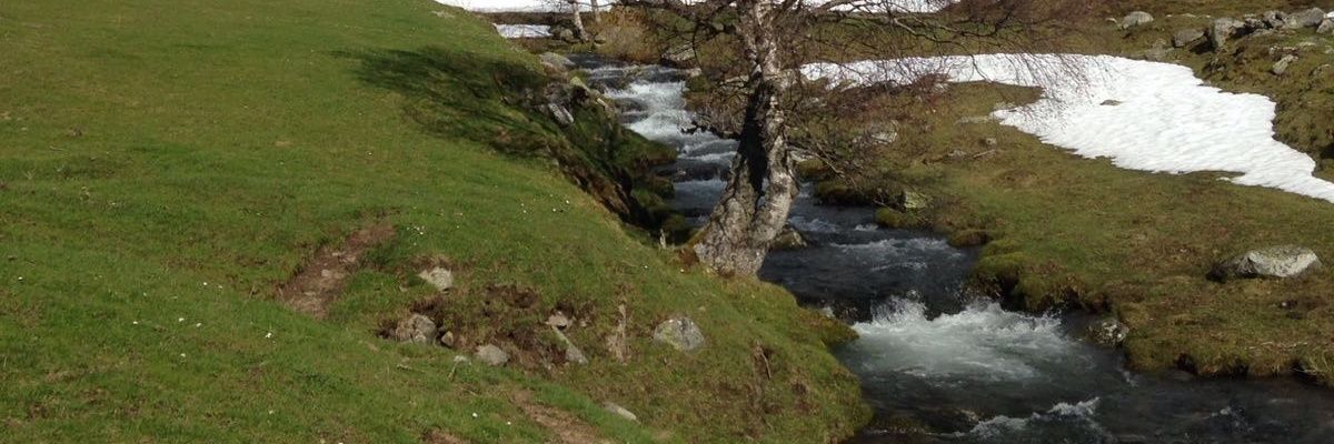 Mer_Diez's profile banner image