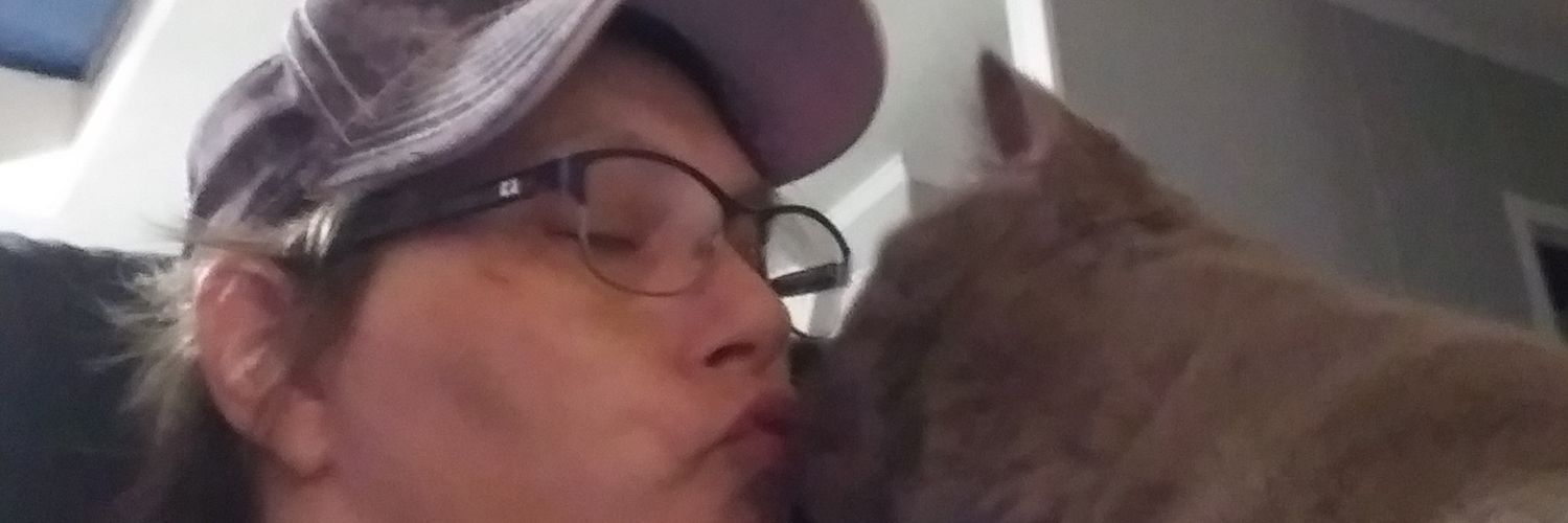 tinakramer22's profile banner image