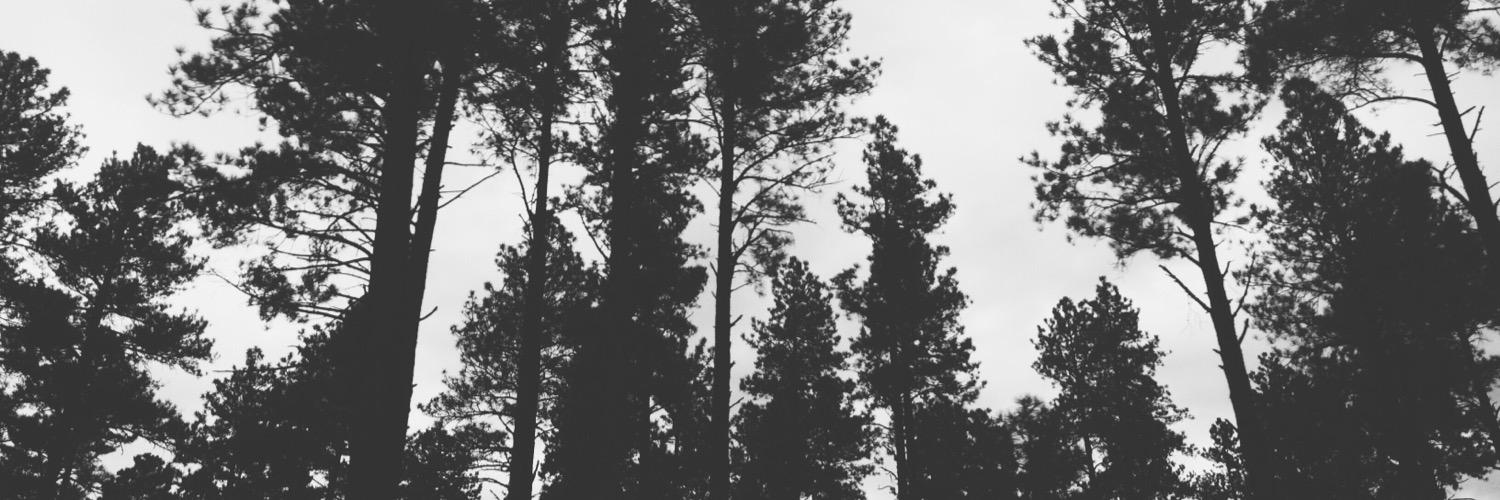 juliafae's profile banner image