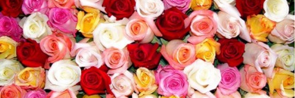 FultonFlorists's profile banner image