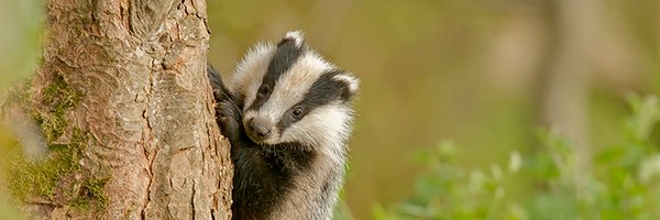 keeptrustalways Profile Banner