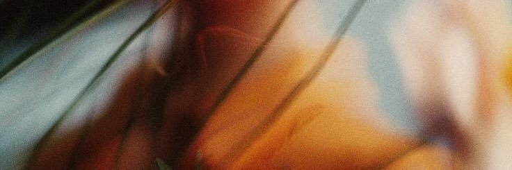 vemcompsi's profile banner image