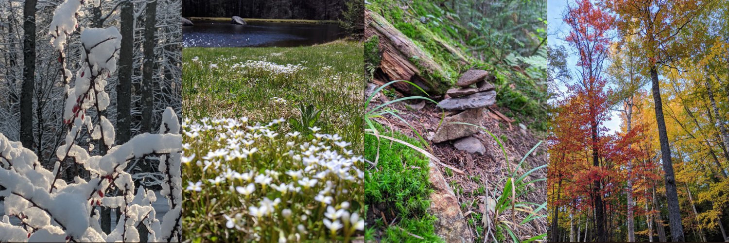 (Something Witty) banner