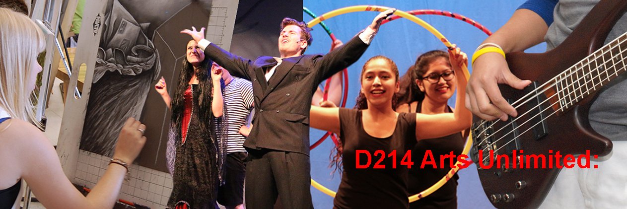 Arts Unlimited D214 banner