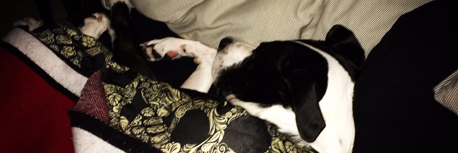 Brody [TrueCooks] banner