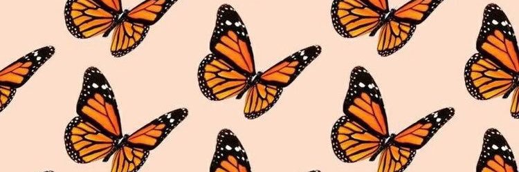 Cinnrolon's profile banner image
