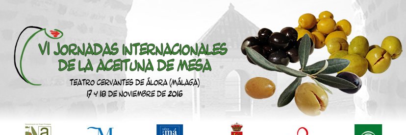 Fundación Aceituna banner
