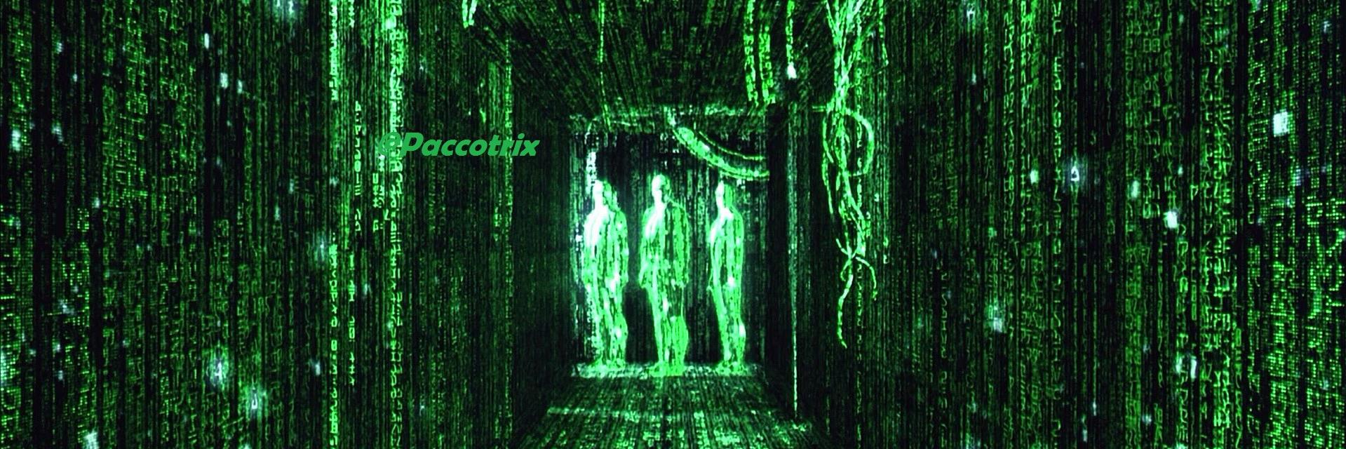 Paccotrix's profile banner image