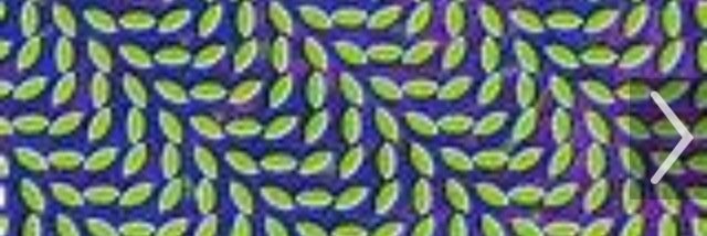 zane_meyer's profile banner image