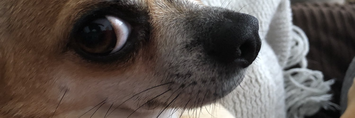 jennylb343's profile banner image