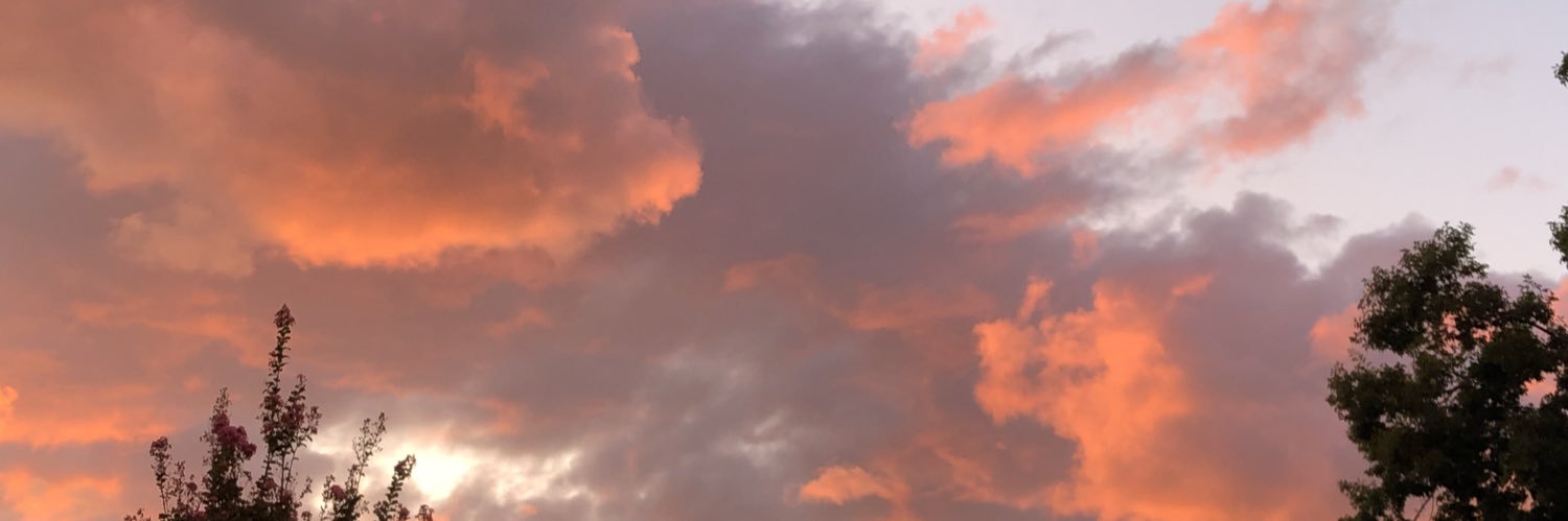 emilross76's profile banner image