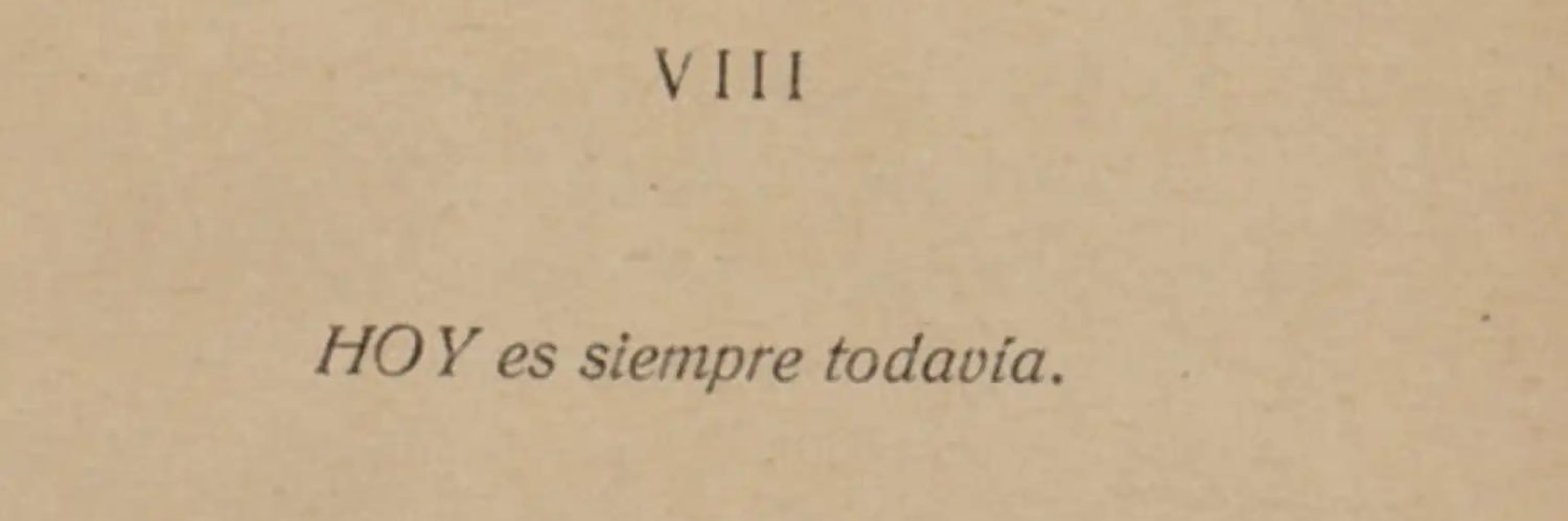 Lorena banner