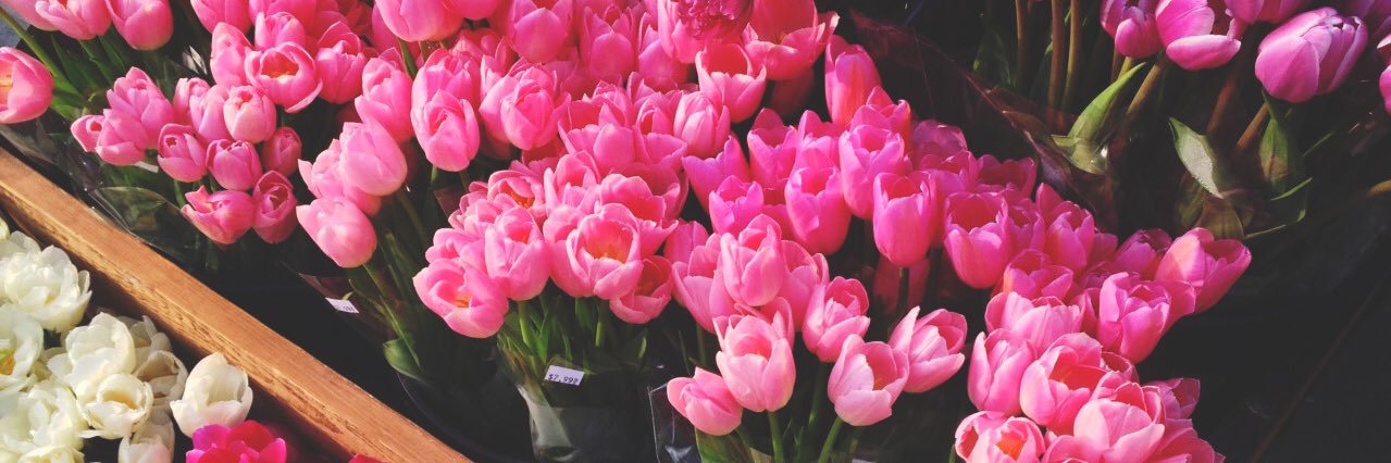 christinaamig's profile banner image