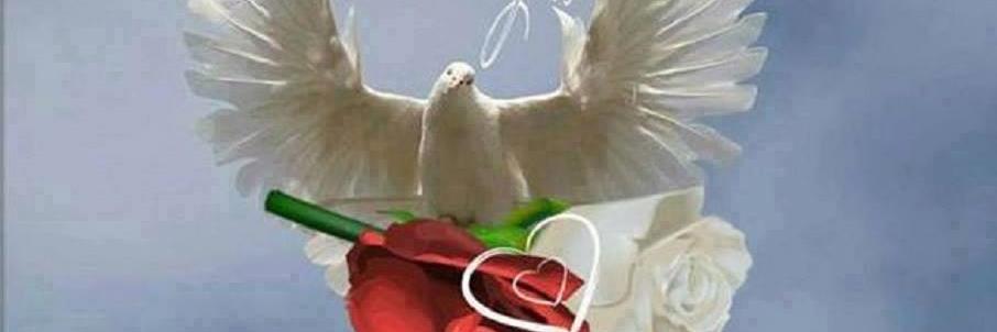 ayman032's profile banner image