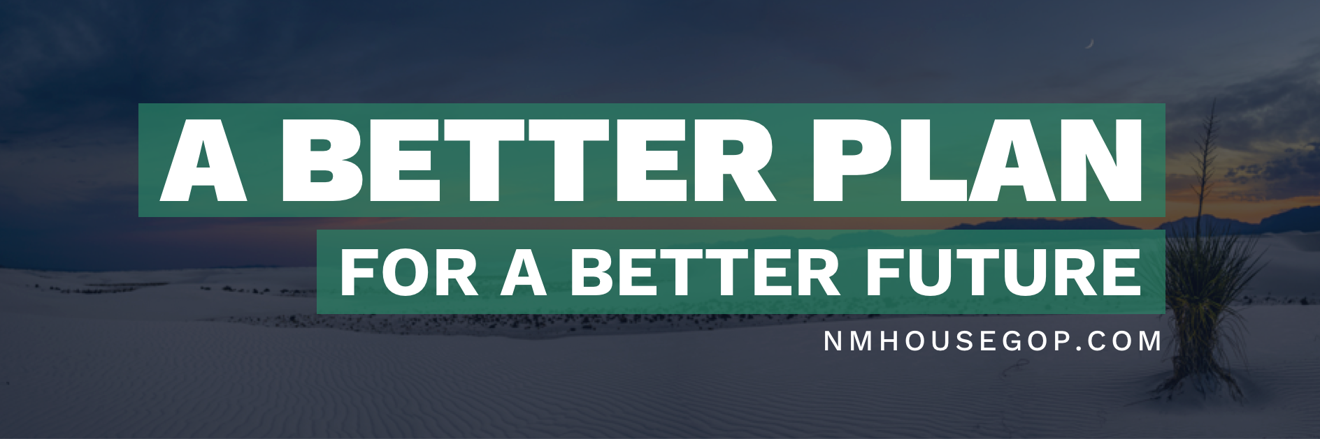 New Mexico House Republicans's banner