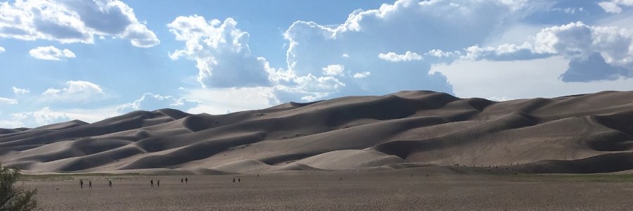 lauraschenone's profile banner image