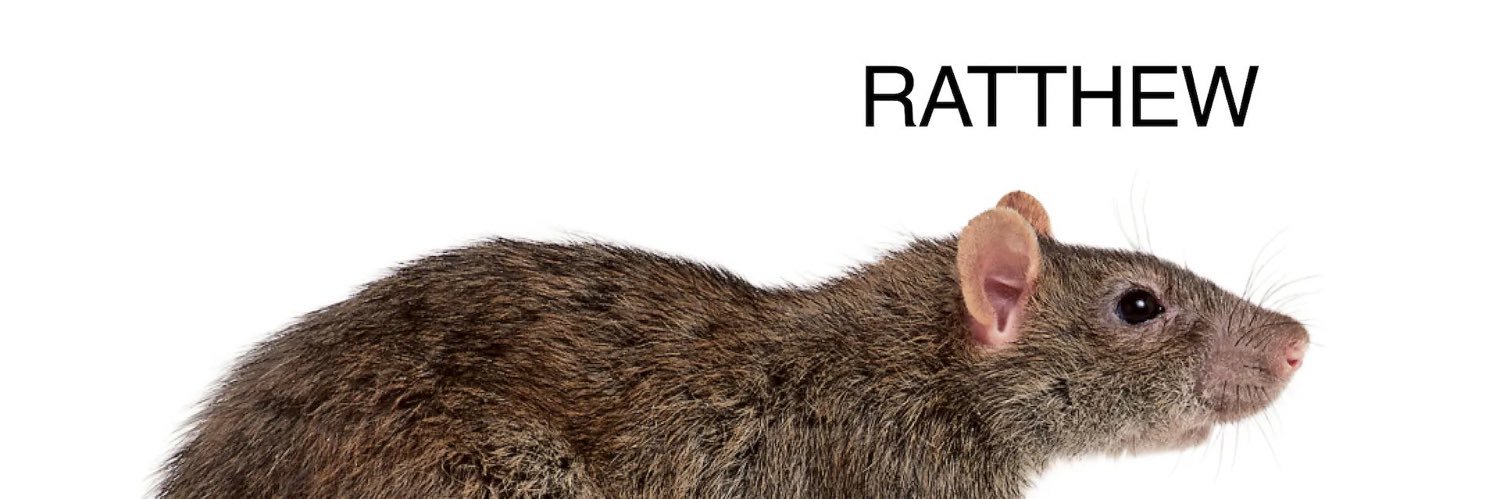 katmaddocks_'s profile banner image