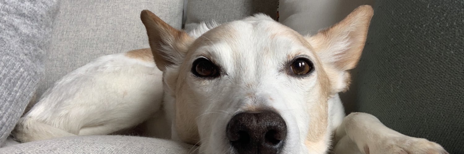 marykmurph's profile banner image