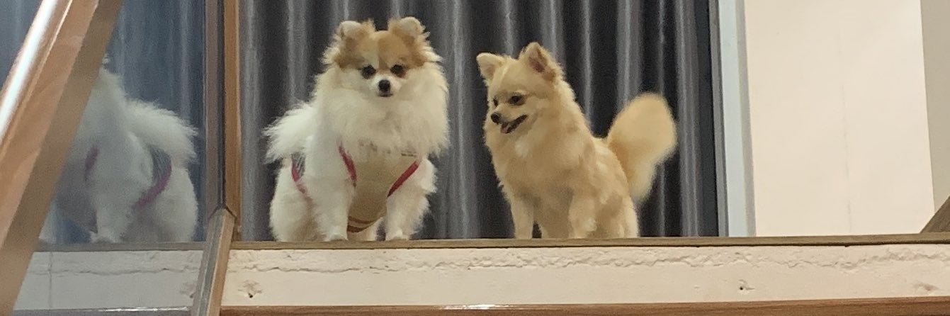 mutttttt__'s profile banner image