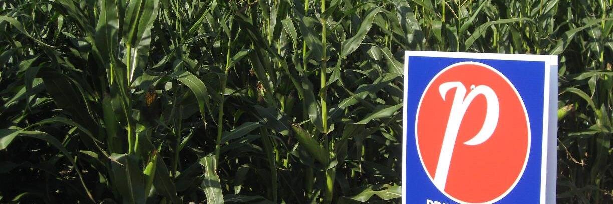 Yantzi's Feed & Seed banner