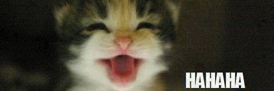 Brendelusional banner