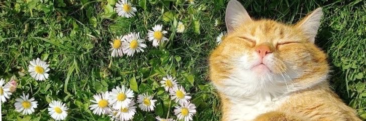 ooossski's profile banner image