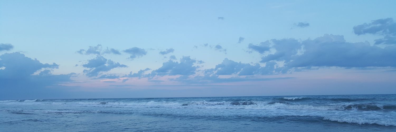 THEREALZ0EY101's profile banner image