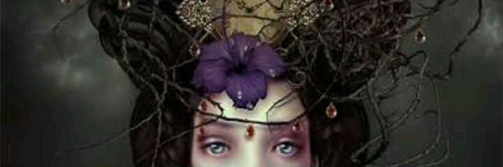 LauraDCano's profile banner image