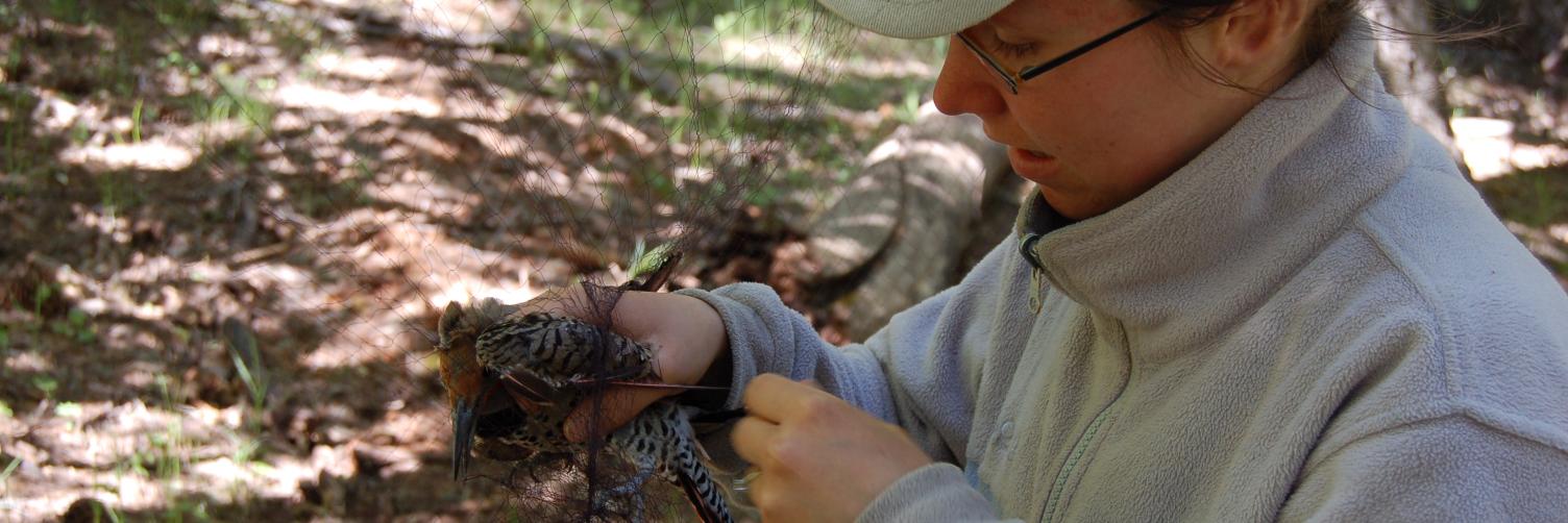 Angela Freeman banner