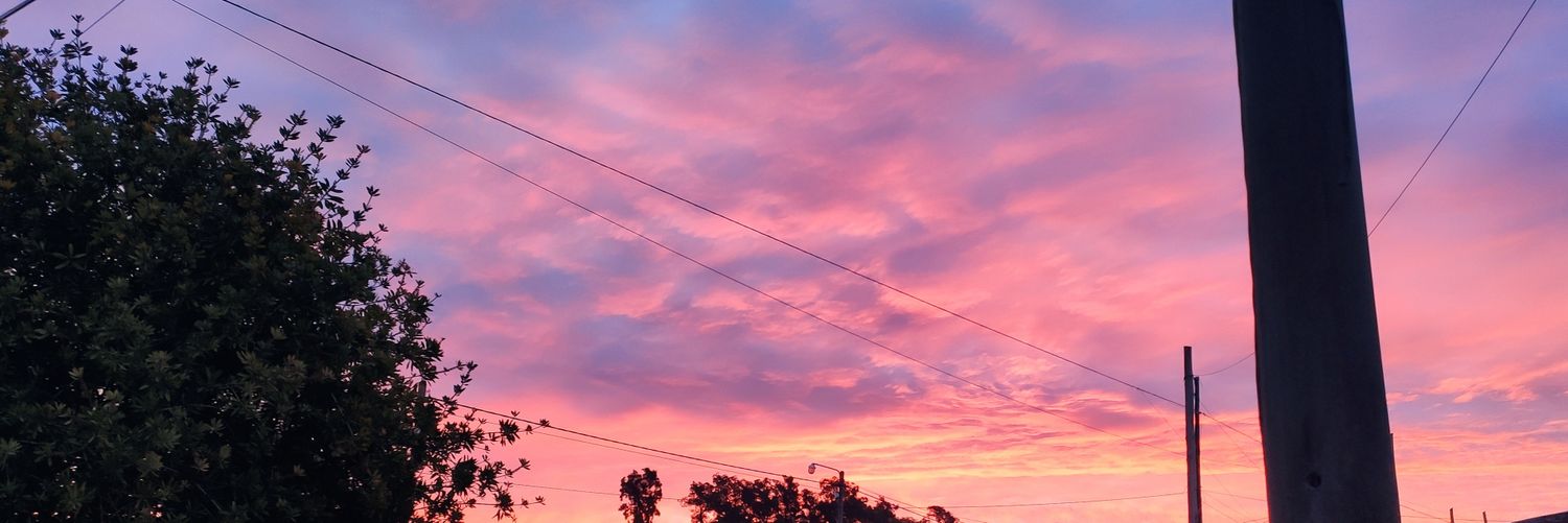 xalnex's profile banner image