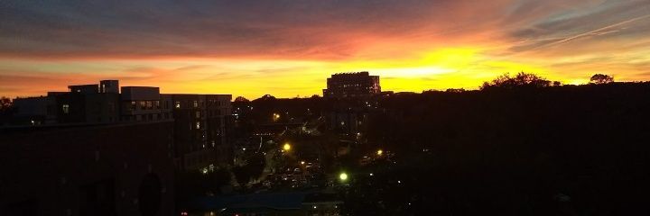 emmaj_nc's profile banner image