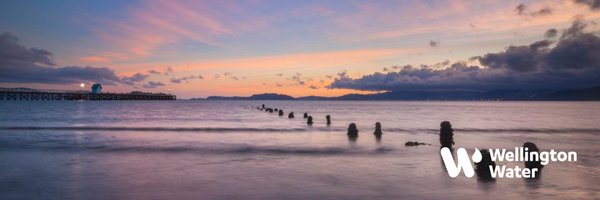 WgtnWaterNZ Profile Banner