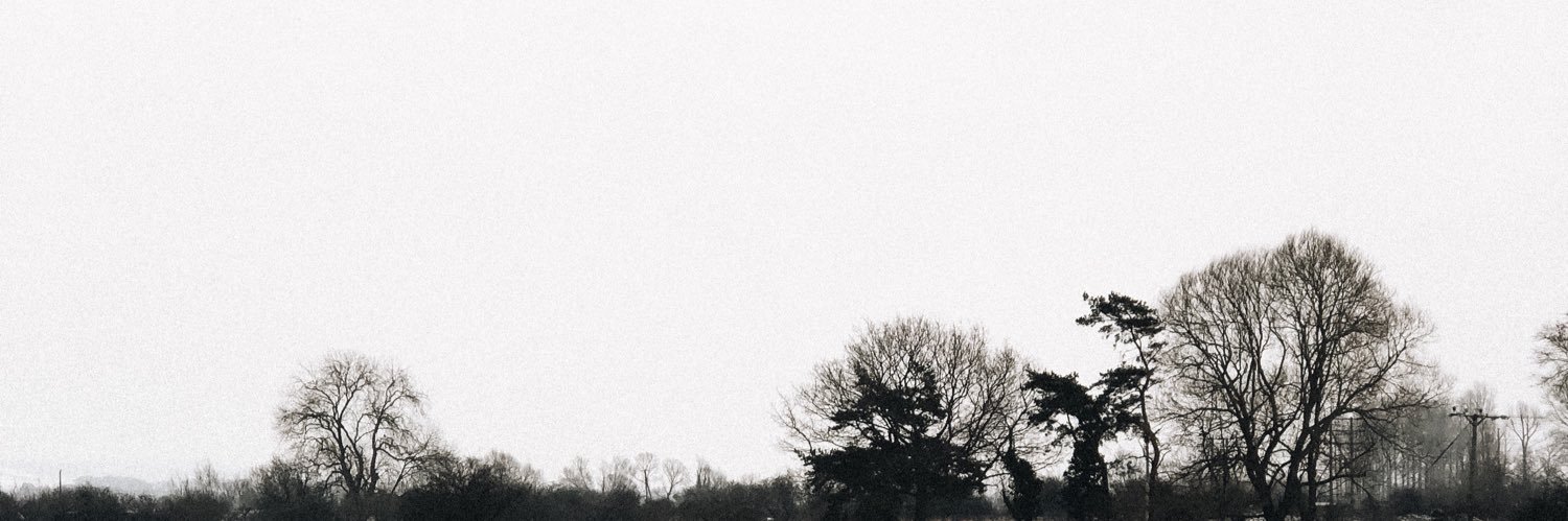 roxycogswellx's profile banner image