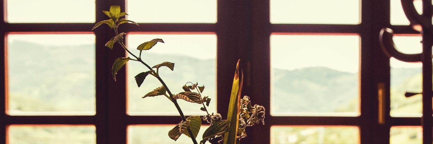 Xune Andrade banner