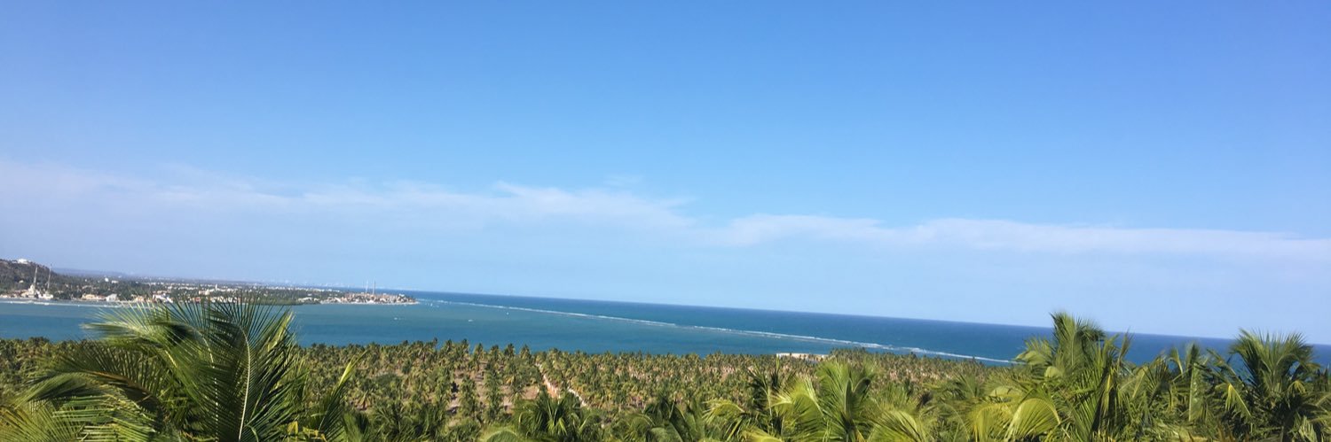 joycoments's profile banner image