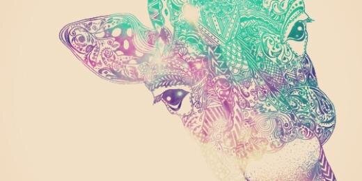 Palopavlic's profile banner image