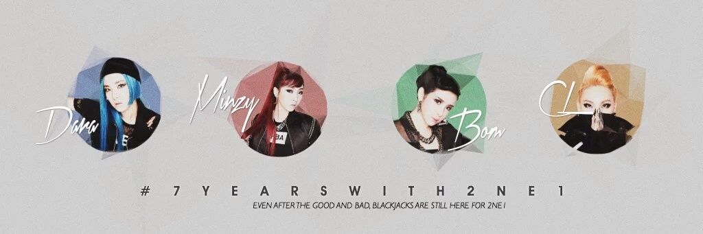 Pitraxxi's profile banner image