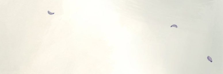 Woofpacc's profile banner image