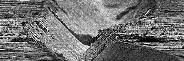 OctCardenas's profile banner image