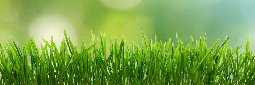 SBClawncareLLC's profile banner image