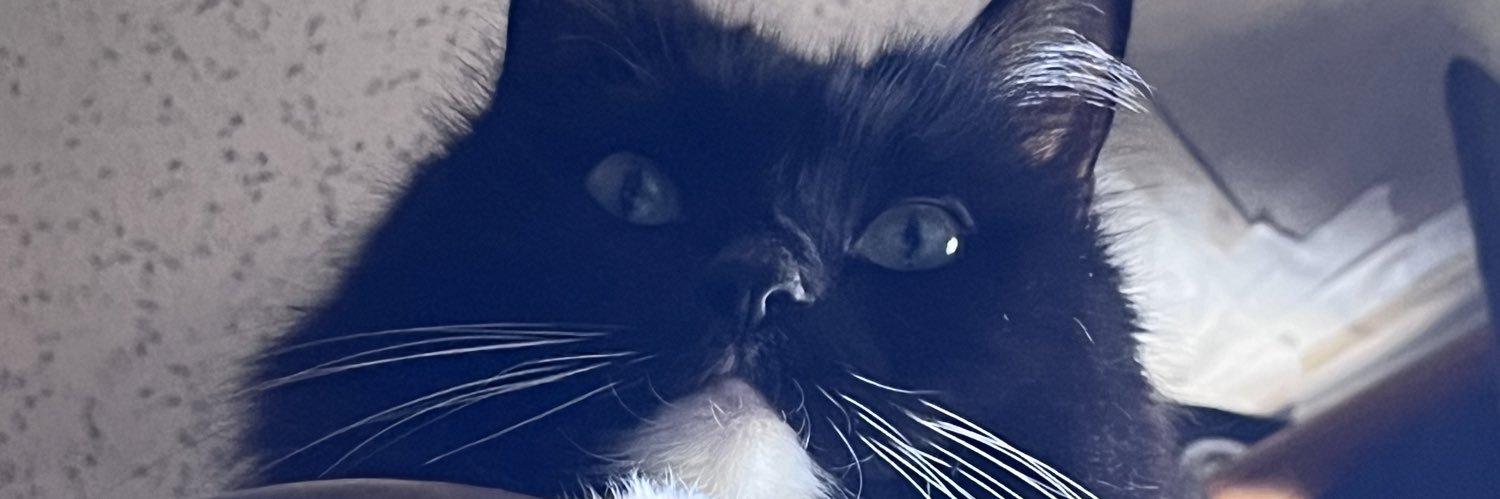 SofTheLoaf_'s profile banner image